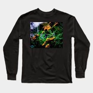 Plants in the park. Long Sleeve T-Shirt